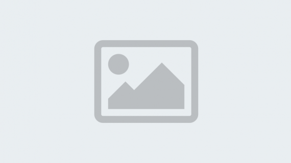 Block category: Embeds